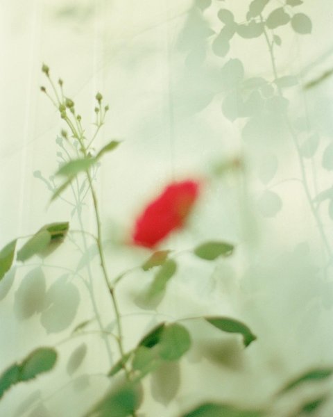 Thumbnail of p-bkgr5fmlbfu-1f7ab9ace27140fa 0