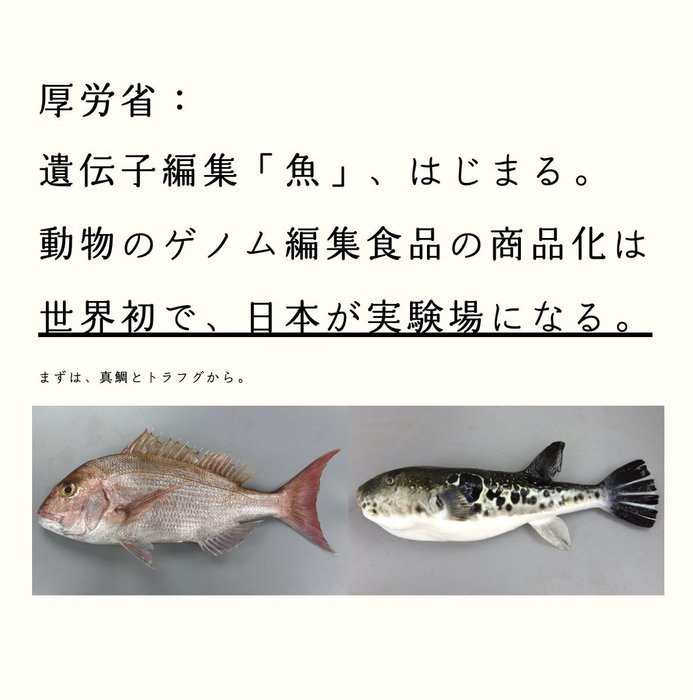 Thumbnail of www-x-com-jhmdrei-status-1563322905194180609-1f7ff9ee8b834418