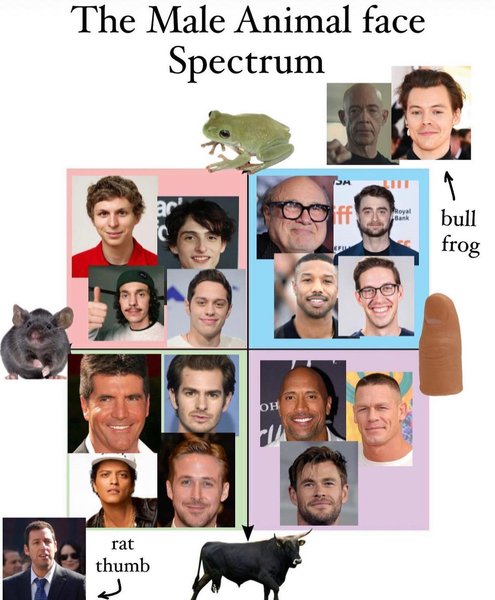 Thumbnail of p-clpffzmtrz-1f9579306e2649d5 1