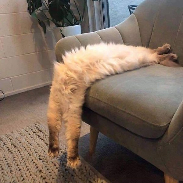 Thumbnail of bv-zzd7bro-da1d54a3bcab4299 0