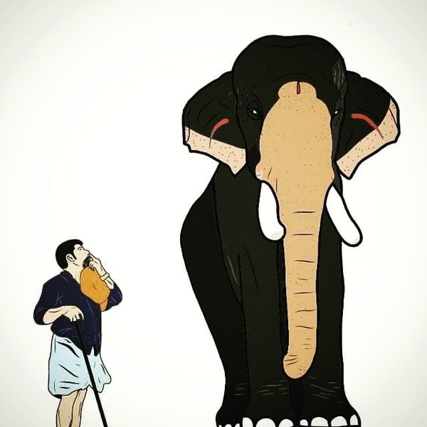 Thumbnail of p-b1wh9vxbkd2-2038fcc2a38148d3 0