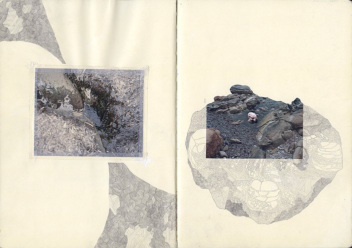 Thumbnail of p-b9kym38jor3-206c6a71b0f14c77 0