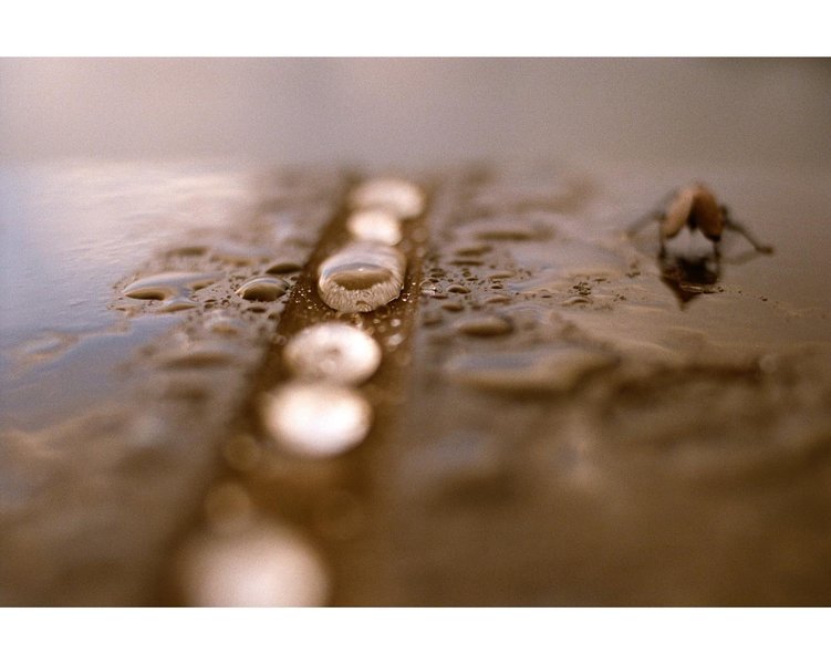 Thumbnail of p-c5w9f6jtcy7-207feea9436f4b20 0