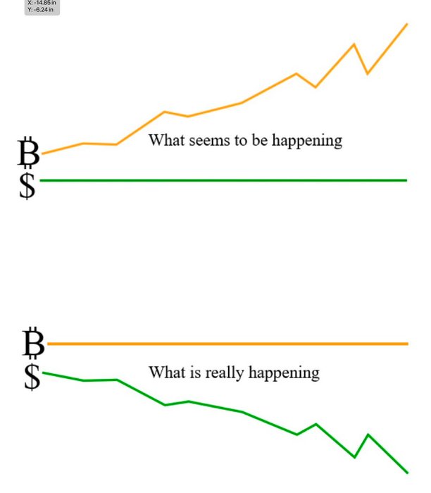 Thumbnail of www-x-com-bitbuyer313-status-1857220452596228556-20b33bfb74de47b0