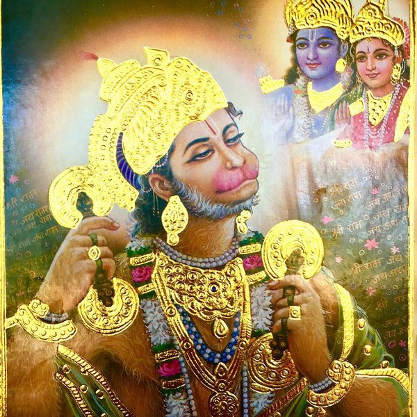 Thumbnail of p-bv458tdhchb-20fcaadc7ad14c66 0