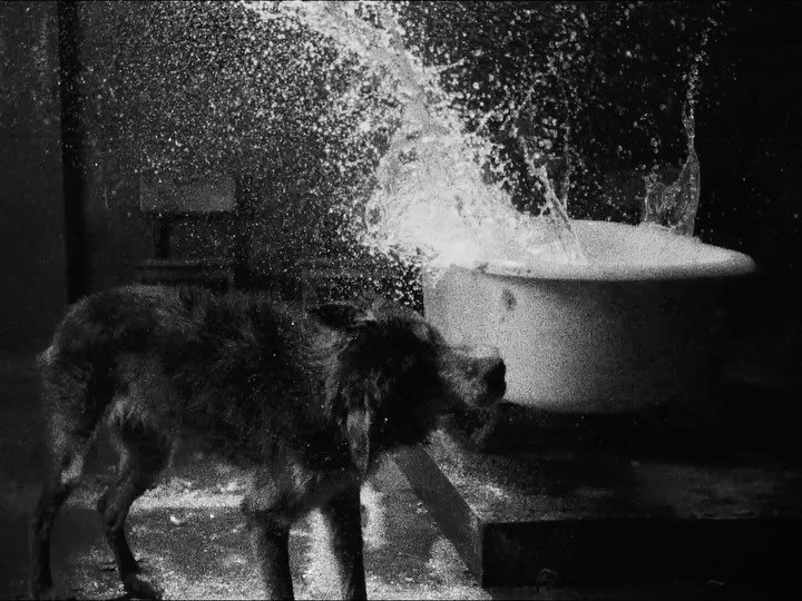 Thumbnail of c-kacgfxptv-2100b6ea69fc44db 9