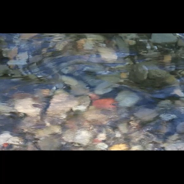 Thumbnail of p-cthsweirmep-21497b85499447f4 2