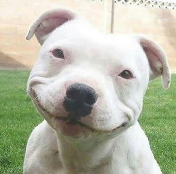 Thumbnail of p-b0i4wura9sc-214fba2b2e3348d1 0