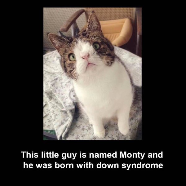 Thumbnail of p-bol5ufzfh6x-21540883a56b49bc 0