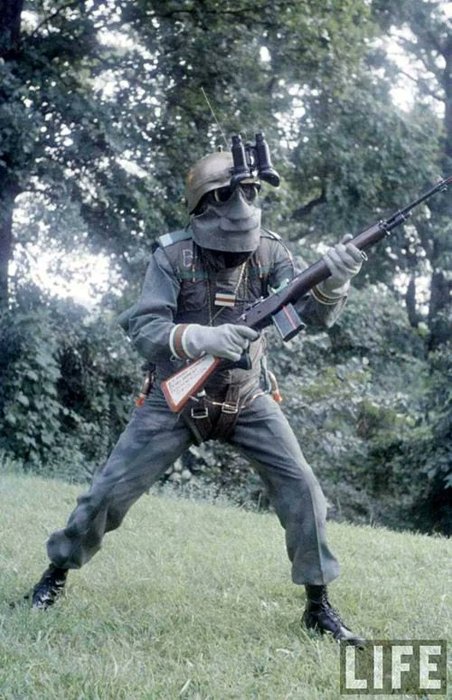 Thumbnail of www-x-com-docstrangelove2-status-1878683816237425102-2164ca6e9caa49e5