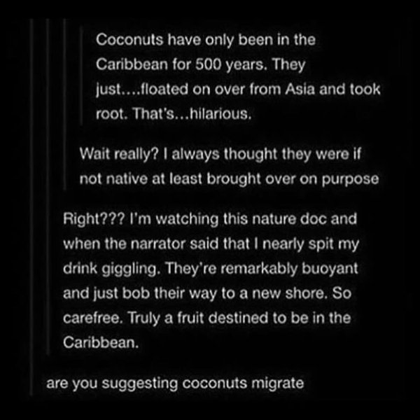 Thumbnail of p-boctv1da75r-216f243648034024 0