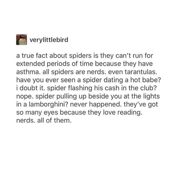 Thumbnail of p-boctv1da75r-216f243648034024 3