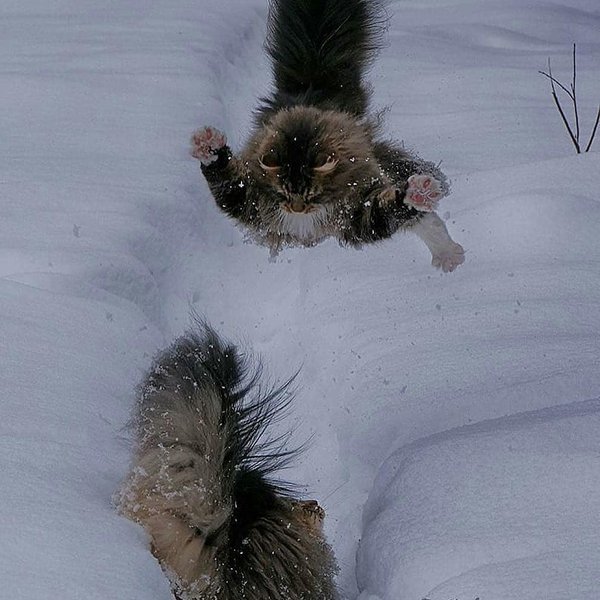 Thumbnail of p-bpxgaurfikz-217b8dc3900046b8 5