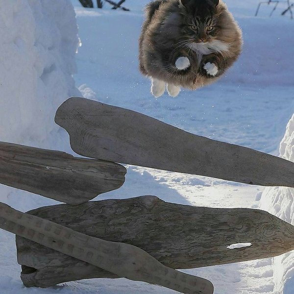 Thumbnail of p-bpxgaurfikz-217b8dc3900046b8 8