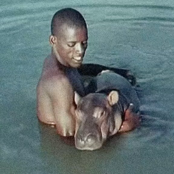 Thumbnail of c1ou0-wo9kk-21a74147f9044fd4 7