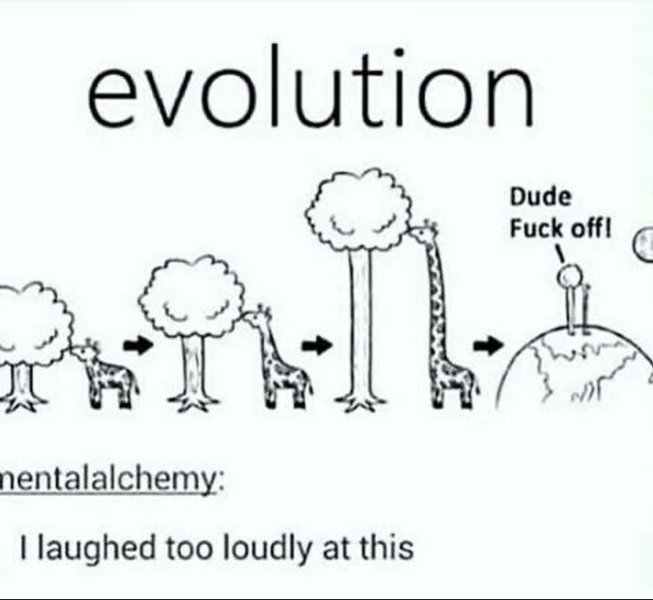 Thumbnail of b-ie1bafb0t-221ad474c5444d29 0