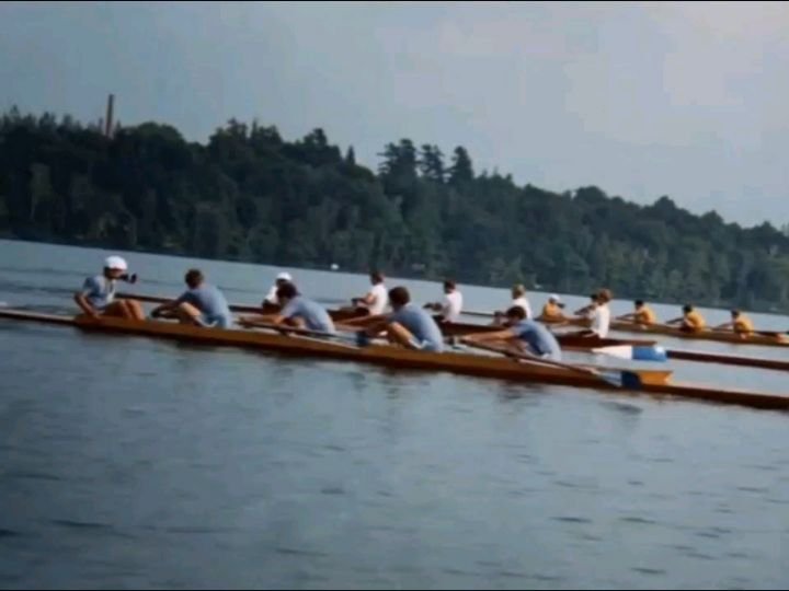 Thumbnail of p-doq6gbokunj-222cdd0c87fb4949 3