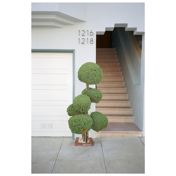 Thumbnail of p-co8j4sxnuqv-224dd7b9591a49ca 0