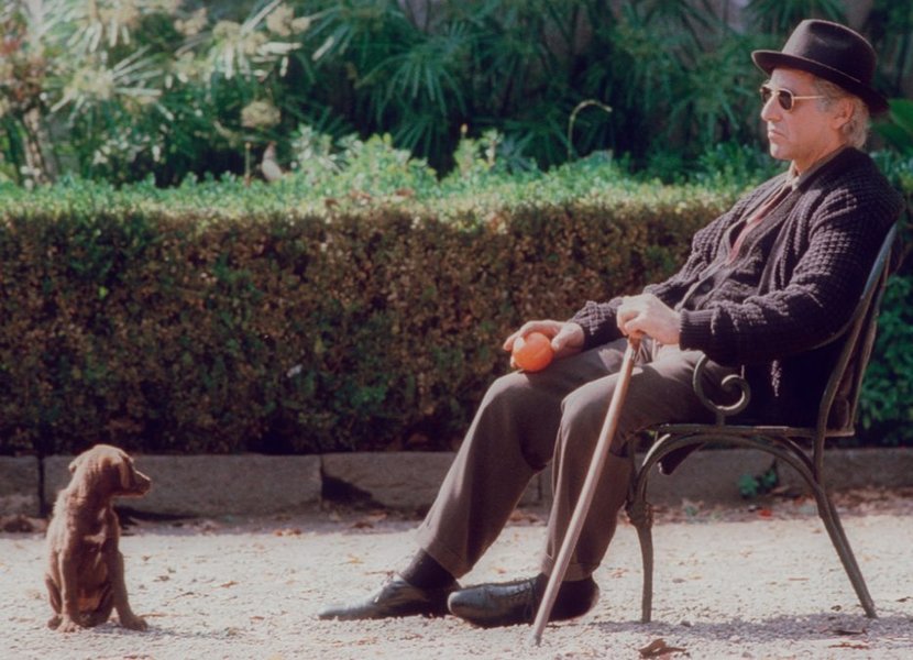 Thumbnail of p-cntnlz2je70-22a07dfc764142a9 0