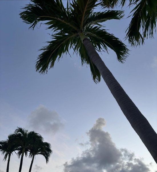 Thumbnail of dcaeaj-xkwl-22b215aaf1e140ef 0