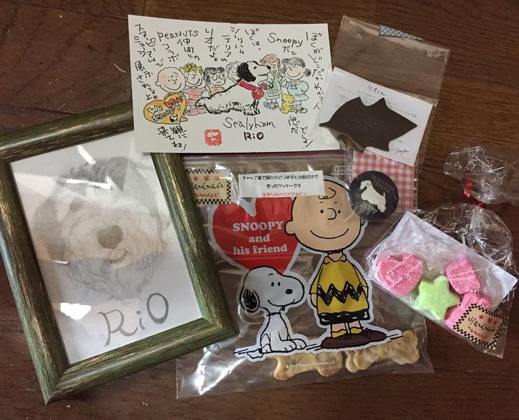 Thumbnail of p-baqzgkqaspw-22dc87dff4774351 0