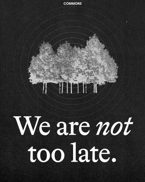 Thumbnail of p-dcfx4jqotkd-22dc8e7ab1864a8d 3