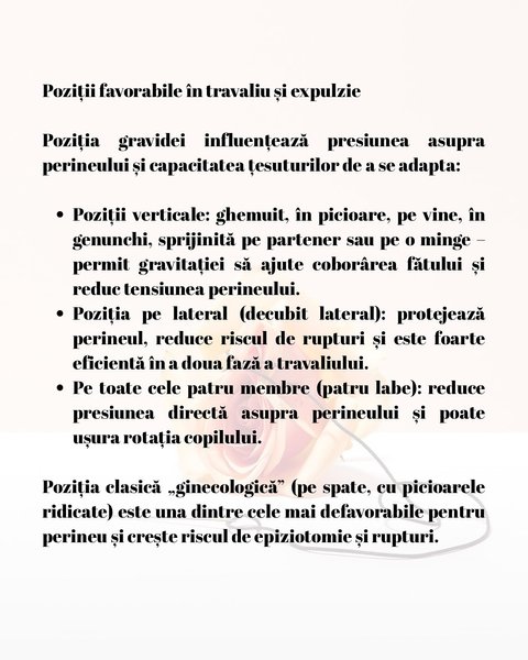 Thumbnail of p-dkwrlkpoaxd-22eae465117849d4 12