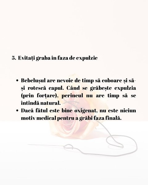 Thumbnail of p-dkwrlkpoaxd-22eae465117849d4 16
