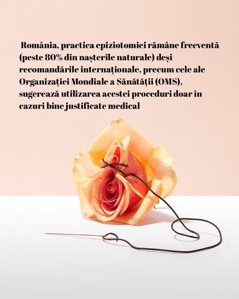 Thumbnail of p-dkwrlkpoaxd-22eae465117849d4 6