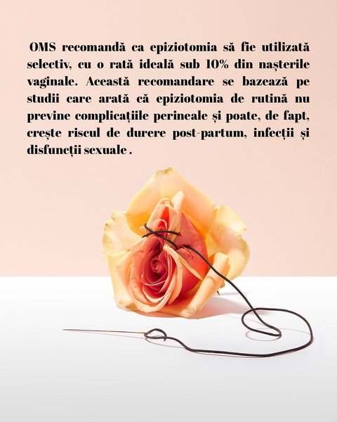 Thumbnail of p-dkwrlkpoaxd-22eae465117849d4 8