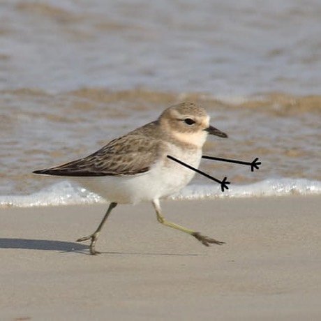 Thumbnail of p-ct8hwshpiv6-22ec104ec3b54bc4 1