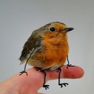 Thumbnail of p-ct8hwshpiv6-22ec104ec3b54bc4 2