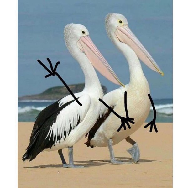 Thumbnail of p-ct8hwshpiv6-22ec104ec3b54bc4 4