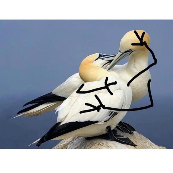 Thumbnail of p-ct8hwshpiv6-22ec104ec3b54bc4 5