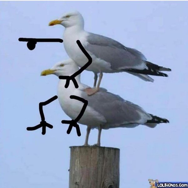 Thumbnail of p-ct8hwshpiv6-22ec104ec3b54bc4 6