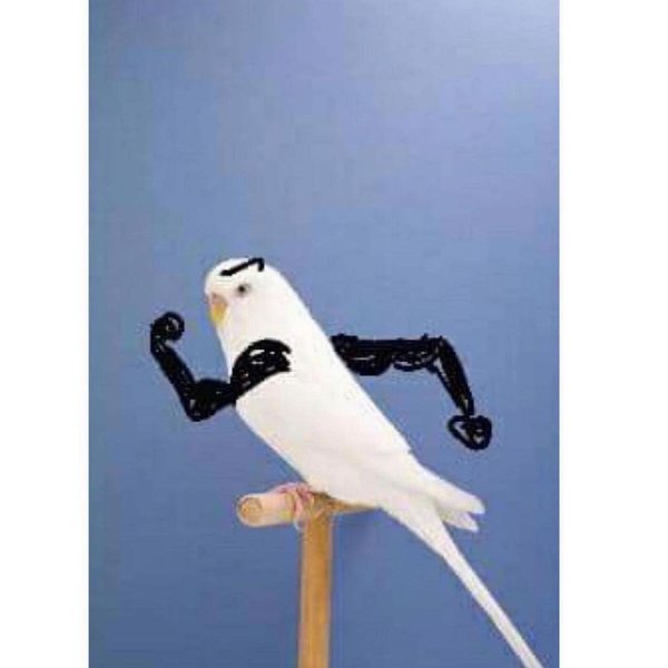 Thumbnail of p-ct8hwshpiv6-22ec104ec3b54bc4 7