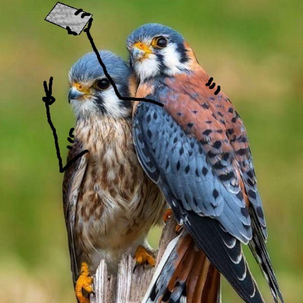 Thumbnail of p-ct8hwshpiv6-22ec104ec3b54bc4 8