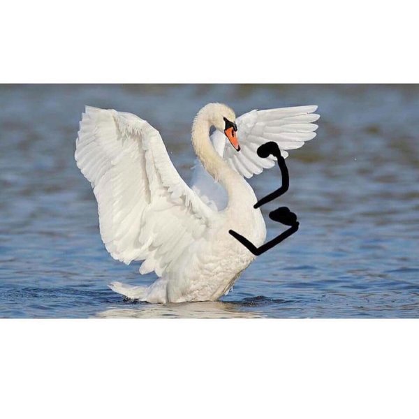 Thumbnail of p-ct8hwshpiv6-22ec104ec3b54bc4 9