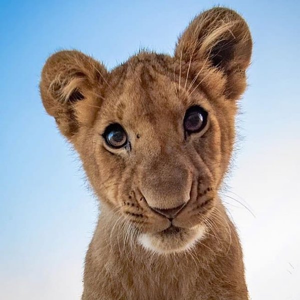 Thumbnail of o0-nyhjpq-22ec40929d6648fb 0