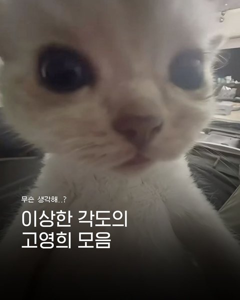 Thumbnail of p-dkb6n8cjjcj-230bc5baa0d8414c 0