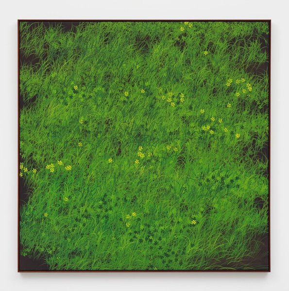 Thumbnail of p-dot4vylelmx-23344ddff36c4288 0