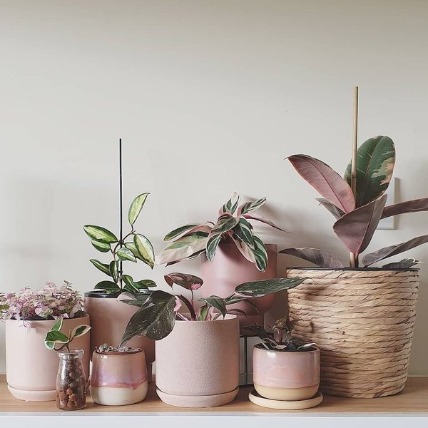 Thumbnail of p-cdrmeanj0hm-233c599213884b80 0