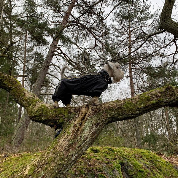 Thumbnail of p-b8ojwydfriy-2344a376a3244a3d 0