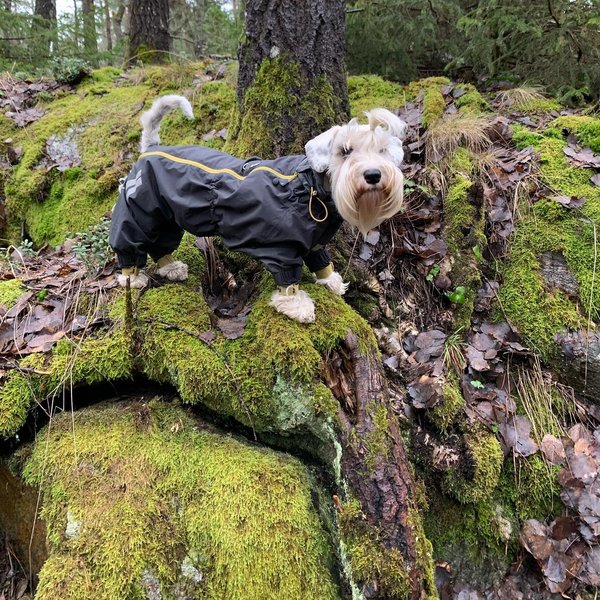 Thumbnail of p-b8ojwydfriy-2344a376a3244a3d 1