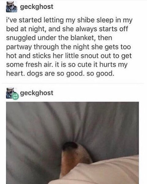 Thumbnail of by7ro-hfxsv-2347fef74dfe492d 0