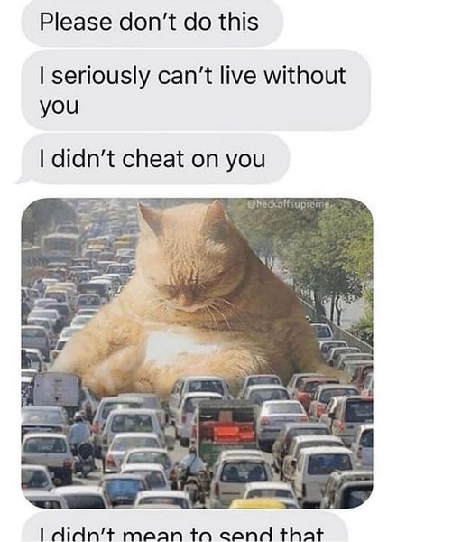 Thumbnail of p-b8lkervqigf-237637b68dd74d1f 0