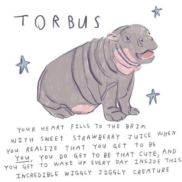 Thumbnail of p-dai5c2kpvnx-2435935323594203 7