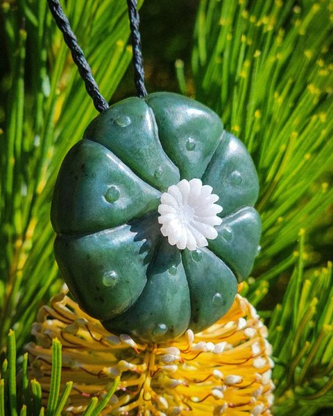 Thumbnail of www-instagram-com-p-draoif0kii9-img-index-1 0