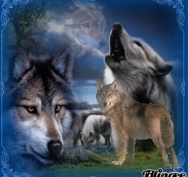 Thumbnail of p-ddqk9duvmqw-247271ba813c4b59 1
