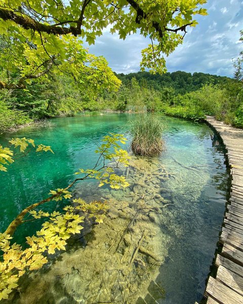 Thumbnail of p-cr90fyalt7e-24aff561325f4c72 0